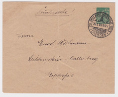 61340 DR Ganzsachen Umschlag PU85 29.Dt.Philatelistentag Dresden 1923 - Buste