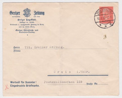 41319 DR Ganzsachen Umschlag P117/B4/03 Greizer Zeitung 1932 - Buste