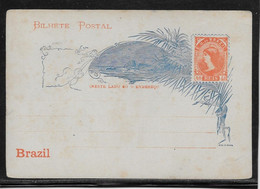 Brésil - Entiers Postaux - Postal Stationery