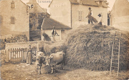 CPA 12 SEBAZAC CARTE PHOTO D'UNE SCENE DE BATTAGE FENAISON AGRICULTURE (RARE AUTRE CLICHE DANS LE VILLAGE - Otros & Sin Clasificación