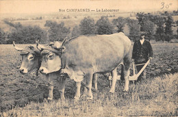 CPA 12 NOS CAMPAGNES LE LABOUREUR - Other & Unclassified