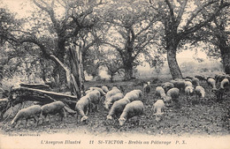 CPA 12 SAINT VICTOR BREBIS AU PATURAGE - Otros & Sin Clasificación