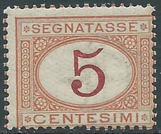 1890-94 REGNO SEGNATASSE 5 CENT MNH ** - RE28-6 - Taxe