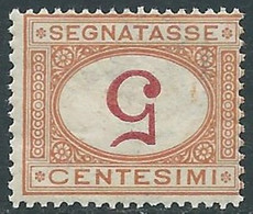 1890-94 REGNO SEGNATASSE 5 CENT VARIETà CIFRA CAPOVOLTA MNH ** - RE28-2 - Taxe