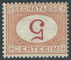 1890-94 REGNO SEGNATASSE 5 CENT VARIETà CIFRA CAPOVOLTA MNH ** - RE28-3 - Strafport