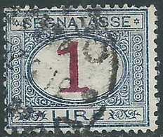 1890-94 REGNO SEGNATASSE USATO 1 LIRA - RE31-8 - Segnatasse