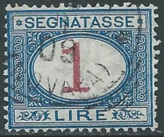 1890-94 REGNO SEGNATASSE USATO 1 LIRA - RE31-9 - Strafport