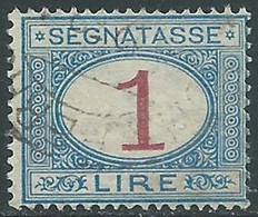 1890-94 REGNO SEGNATASSE USATO 1 LIRA - RE31-10 - Portomarken