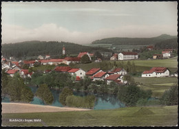 D-93476 Blaibach - Bayer. Wald - Alte Ortsansicht Mit KIrche Und See - Nice Stamp - Cham