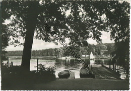 Berlin-Grunewald - Pfaueninsel - Foto-Ansichtskarte - Hans Andres Verlag Berlin 50er Jahre - Grunewald