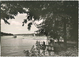 Berlin - Wannsee Bei Der Pfaueninsel - Foto-Ansichtskarte - Dampfer Deutschland - Hans Andres Verlag Berlin 50er Jahre - Grunewald