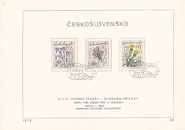 Czechoslovakia / First Day Sheet (1979/03 A) Spindleruv Mlyn: Mountain Rescue Service; Painter: K. Svolinsky - Droga