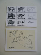 Lot De 2 Cartes Postales / PICASSO - Picasso