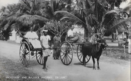 Ceylan: Rickshaw And Bullock Hackery (pousse-pousse Et Char à Boeuf) Plâté Ltd, Ceylon - Carte N° 60 Non Circulée - Asie