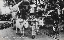 Ceylan: Bullock Cart And Driver (char à Boeufs) Plâté Ltd, Ceylon - Carte N° 68 Non Circulée - Asie