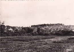 45, Courtenay, Vue Générale - Courtenay