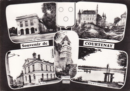 45, Souvenir De Courtenay, Multivues - Courtenay