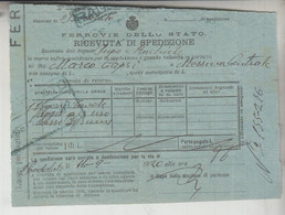 BIGLIETTO TICKET FERROVIE DELLO STATO  DA BADOLATO  CATANZARO A MESSINA  1920 - Europe