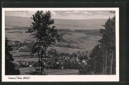 AK Tabarz / Thür. Wald, Ansicht Auf Den Ort Von Einem Hügel Aus - Tabarz