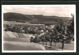 AK Erlbach I. Vogtland, Blick Auf Die Gebirgssommerfrische - Vogtland