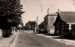 Gujan-Mestras (Gironde) La Route D'Arcachon - Edition Renaud & Buzaud - Carte Dany N° 23 - Gujan-Mestras