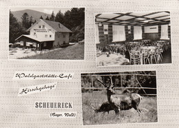 Scheuereck Bayr.Wald - Waldgaststatte Cafe Hirschgehege Besitzer Karl Brandl 1969 - Zwiesel