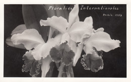 CPA - Orchidée - Floralies Internationales Paris 1959 - Verso Timbre Correspondant 1er Jour - Blumen