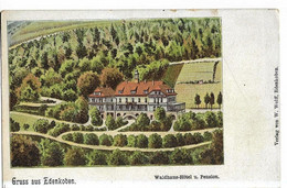 Gruss Aus EDENKOBEN Waldhaus-Hotel U. Pension Ed. Wolff, Envoi 1919 - Edenkoben