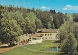 Oberholl Bei Weiden - Hotel Gaststatte Holltalerhof 1970 - Weiden I. D. Oberpfalz