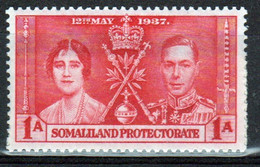 Somaliland Protectorate 1937 George VI Single 1a Stamp To Celebrate The Coronation In Unmounted Mint. - Somaliland (Protectorate ...-1959)