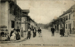 CPA AK Castets - Castets-des-Landes - Avenue De Bordeaux (776945) - Castets