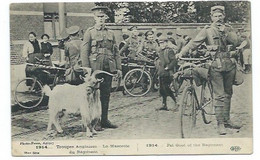 MILITAIRES - Troupes Anglaises - La Mascotte Du Régiment - CPA - Guerra 1914-18