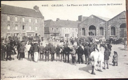 6657 Gallac  La Place Un Jour De  Concours De Chevaux Bretagne Col E.H St Brieuc - Callac