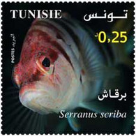 Tunisie 2021- Biologie Marine En Tunisie Série (4v) - Tunisia (1956-...)