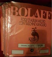 2001-2002 FRANCIA  FOGLI 24 ANELLI GBE MILORD DELLA BOLAFFI - Sammlungen