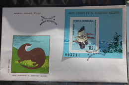 Rumänien 1980, Europäisches Naturschutzjahr, MiNr Block167, FDC - Pélicans