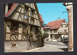 DAMBACH-LA-VILLEI (67 Bas-Rhin) Vieilles Maisons à Colombages (Editions RIBO N° 448/67) - Dambach-la-ville