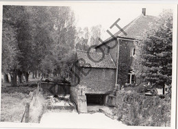 OVERIJSE  Molen / Moulin - Originele Foto Jaren '70  - Molen Van Terlanen (Q189) - Overijse