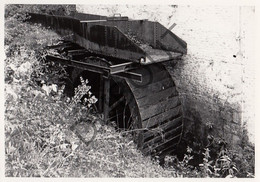 CHAUMONT GISTOUX  Molen / Moulin - Originele Foto Jaren '70  - Moulin Valerienne (Q203) - Chaumont-Gistoux