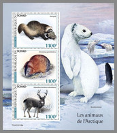 CHAD 2021 MNH Arctic Animals Arktische Tiere Animaux Arctique M/S - OFFICIAL ISSUE - DHQ2123 - Faune Arctique