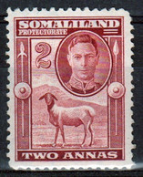 Somaliland Protectorate 1942 George VI Single Two Anna  Stamp In Fine Used - Somaliland (Protectoraat ...-1959)