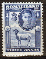 Somaliland Protectorate 1942 George VI Single Three Anna  Stamp In Mounted Mint - Somaliland (Protectoraat ...-1959)