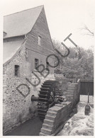 BRAINE LE CHATEAU  - Molen / Moulin - Originele Foto Jaren '70  - Moulin Du Château (Q265) - Kasteelbrakel