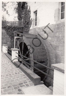 ITTRE  - Molen / Moulin - Originele Foto Jaren '70  - Moulin Del Val (Q270) - Ittre