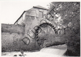 REBECQ ROGNON  - Molen / Moulin - Originele Foto Jaren '70  - Moulins D'HOUX (Q267) - Rebecq