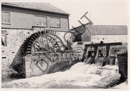 MEVEREGNIES - Molen / Moulin - Originele Foto Jaren '70  - Moulin Thully  (Q252) - Brugelette