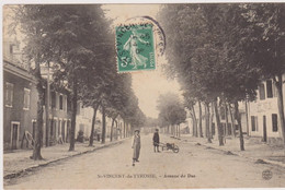 Saint-Vincent-de-Tyrosse, Avenue De Dax - Voyagée En 1908 - Saint Vincent De Tyrosse