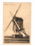 Brecht De Oude Molen Moulin - Brecht