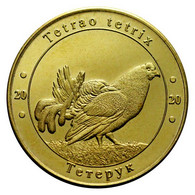 UKRAINE 1 ZLOTNIK FAUNA RED BOOK -  BLACK GROUSE BIRD TETRAO TETRIX 2020 - Oekraïne