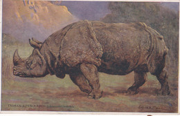 INDIAN RHINOCEROUS - Rinoceronte